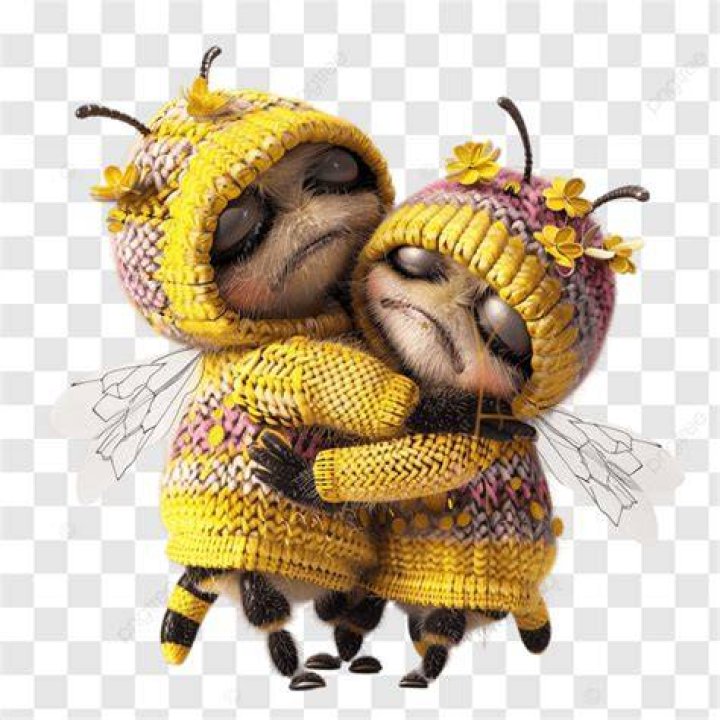 Are bees affectionate