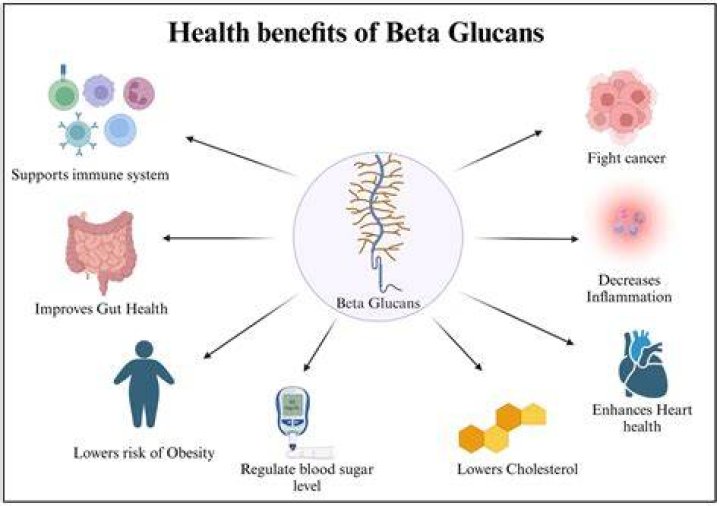 Are beta glucans safe