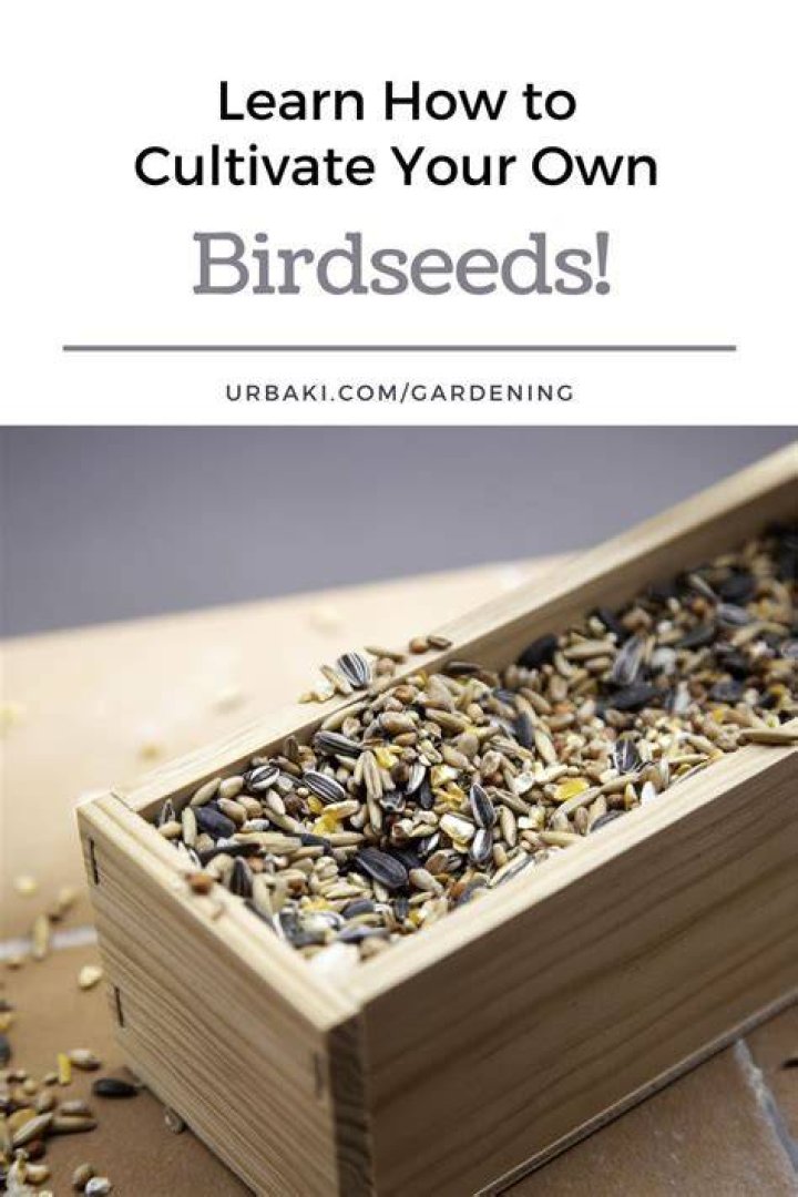Are Birdseeds sterile