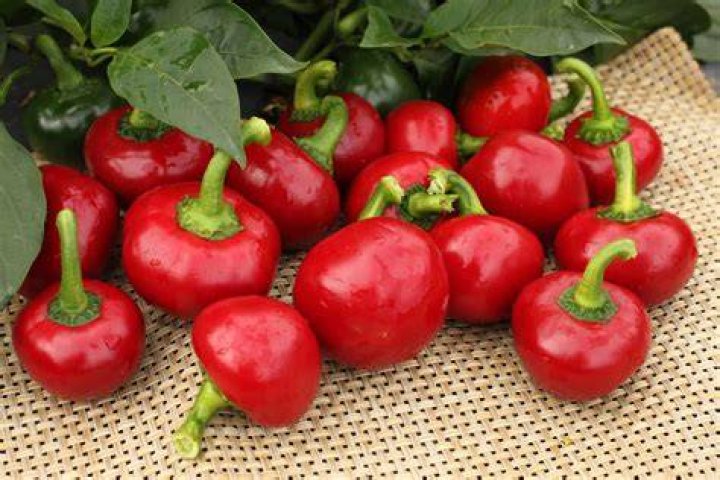 Are cherry pepper hot