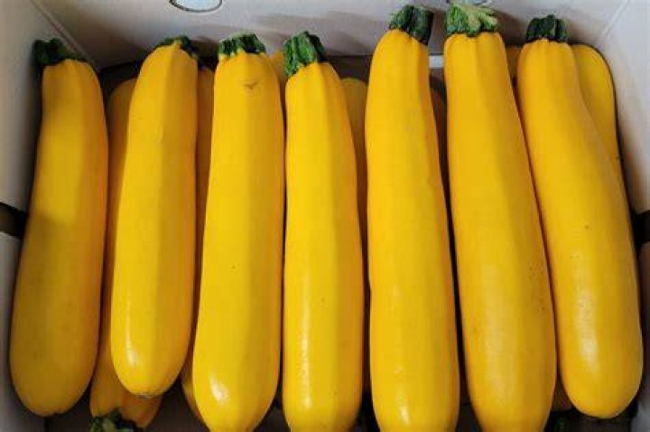 Are courgettes yellow