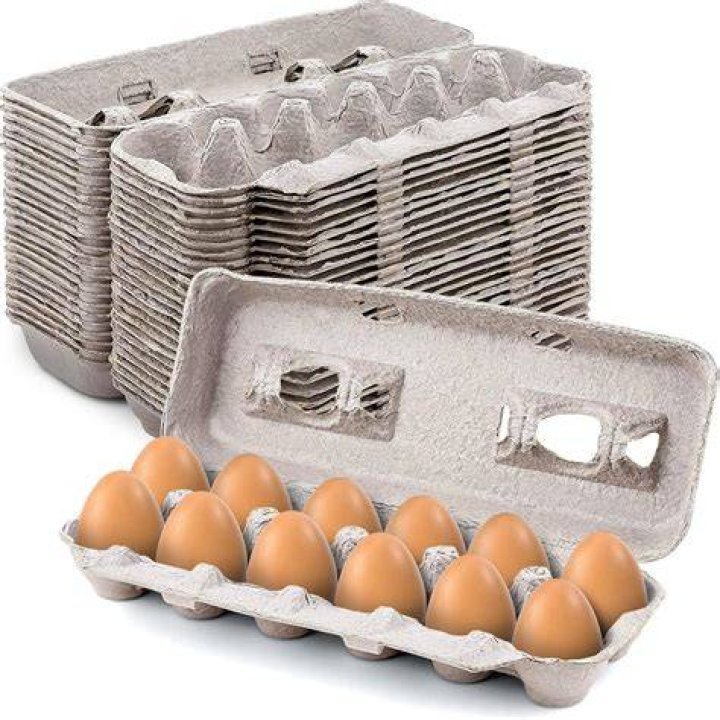 Are egg cartons safe