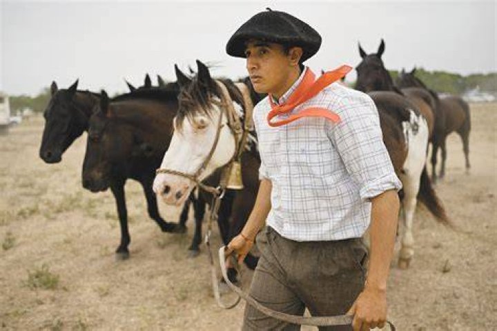 Are Gauchos expensive