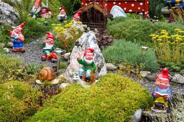 Are gnomes expensive