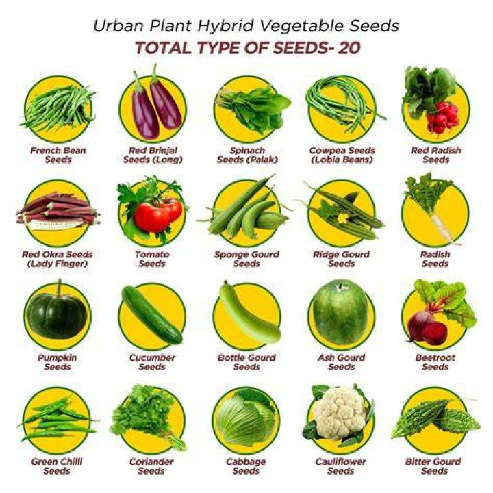 Are Hybrid Seeds good