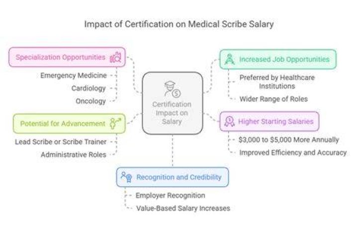 Are scribes certified