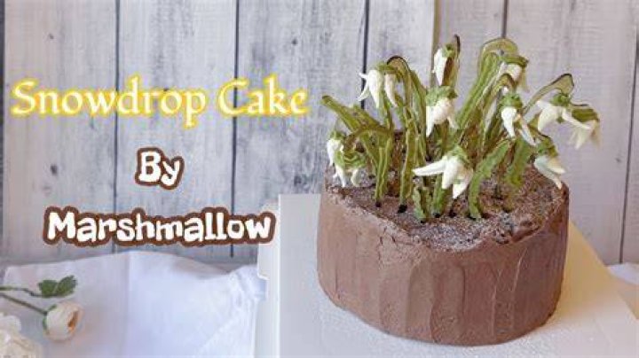 Are snowdrops edible