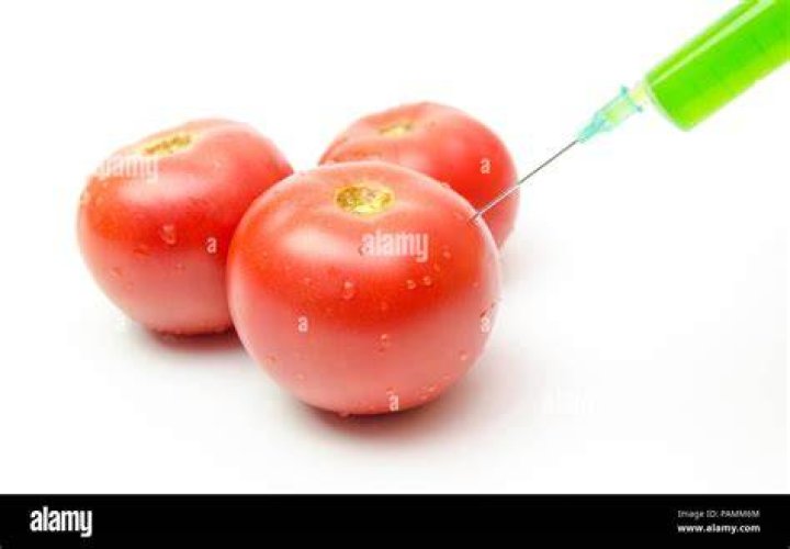 Are tomatoes injected