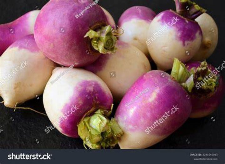 Are turnips brassicas