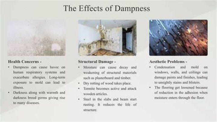 Can AC cause dampness