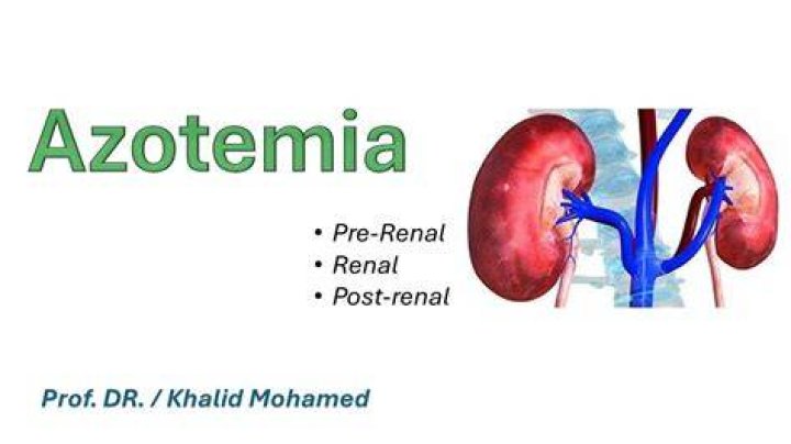 Can azotemia be cured