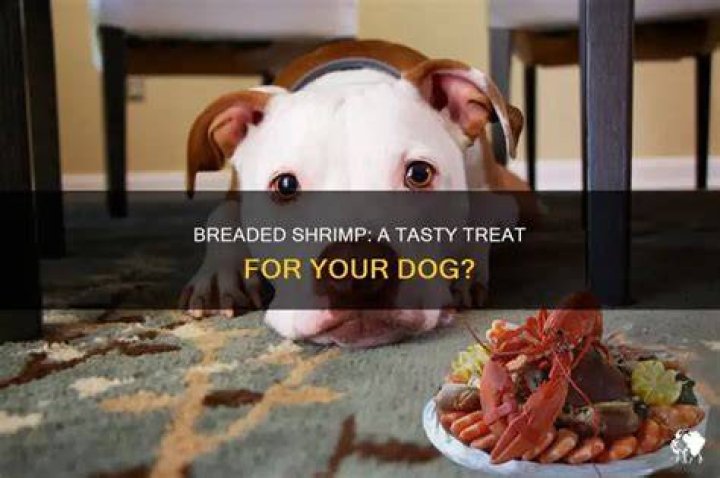 Can dogs eat breaded