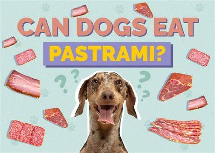 Can dogs eat pastrami