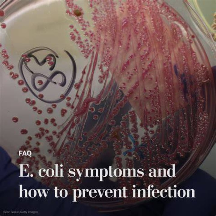 Can E coli kill a dog