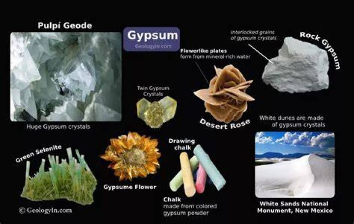 Can gypsum hurt trees