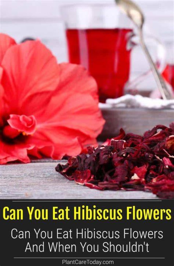 Can hibiscus be eaten