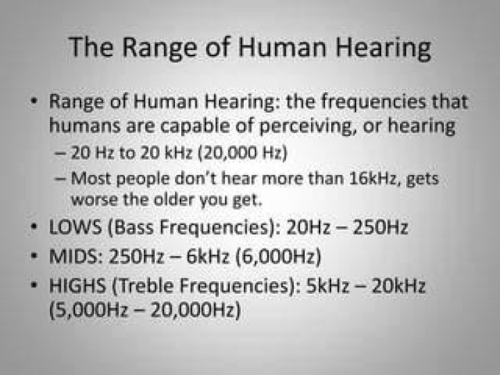 Can humans hear 20KHz