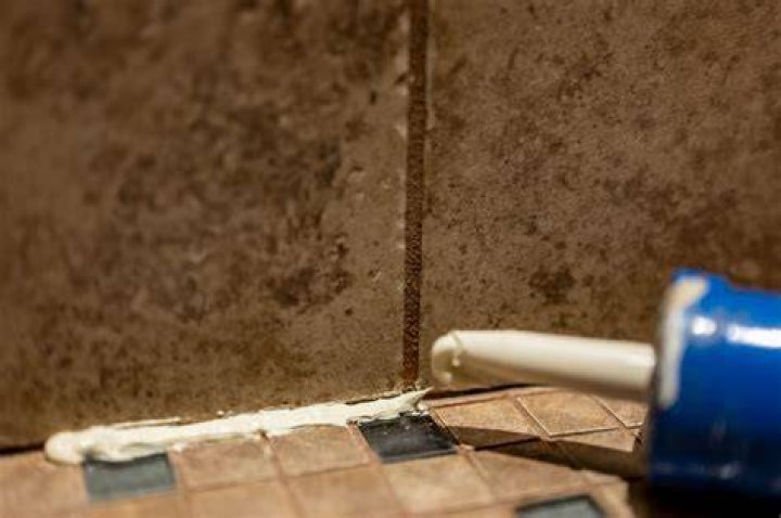 Can I caulk over mold