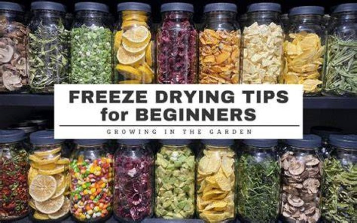 Can I freeze my herbs