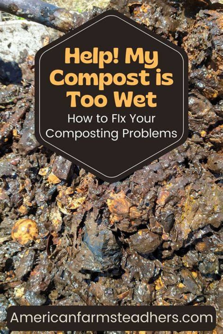 Can I use wet compost