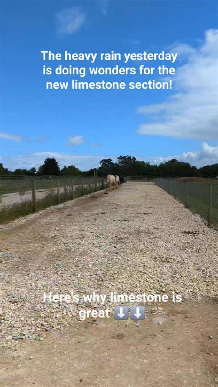 Can limestone get wet
