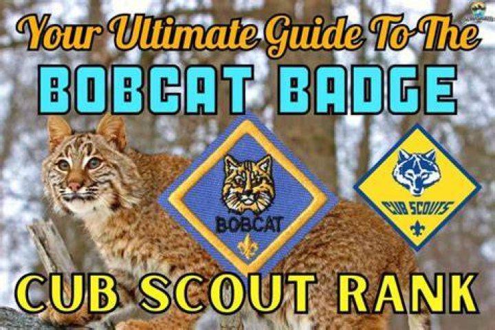 Can Lions earn Bobcat