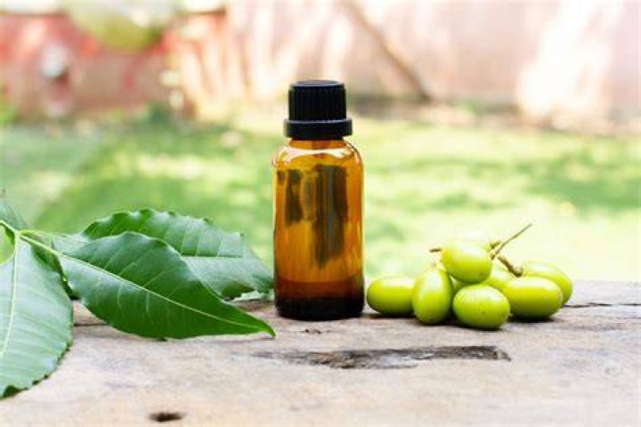 Can neem oil get old