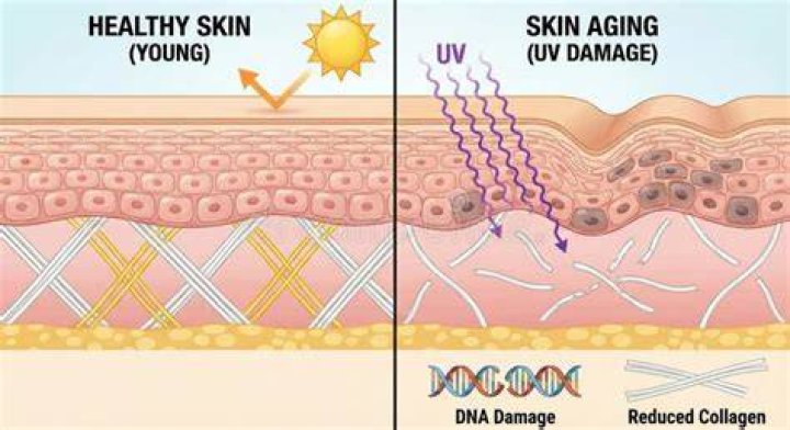 Can UV damage clothes