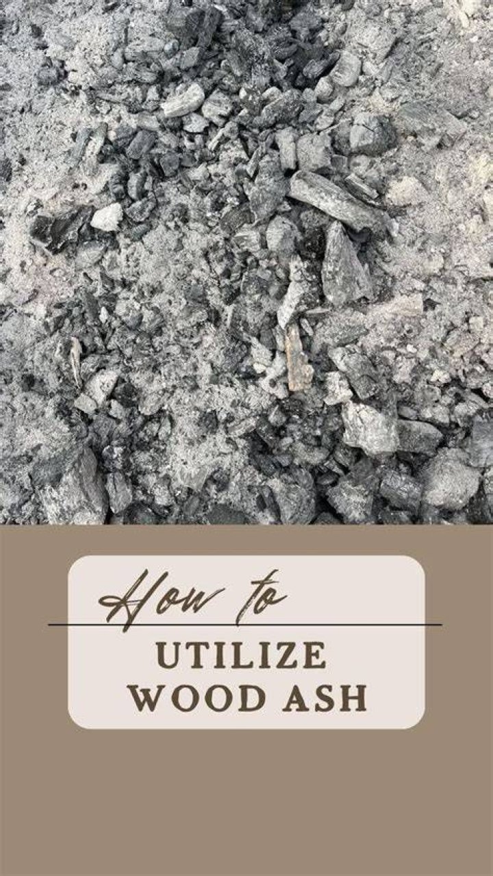 Can wood ash hurt you