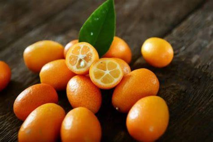 Can you eat a kumquat
