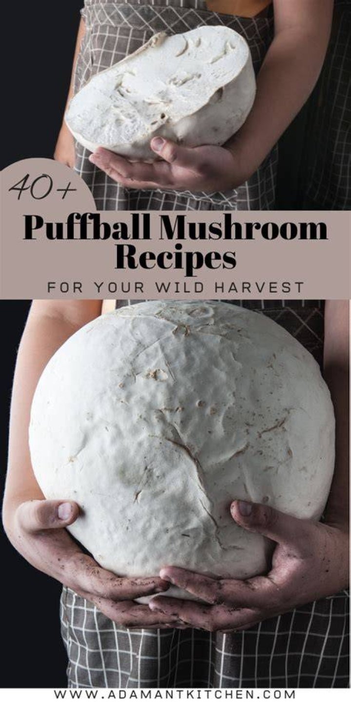 Can you eat puffballs