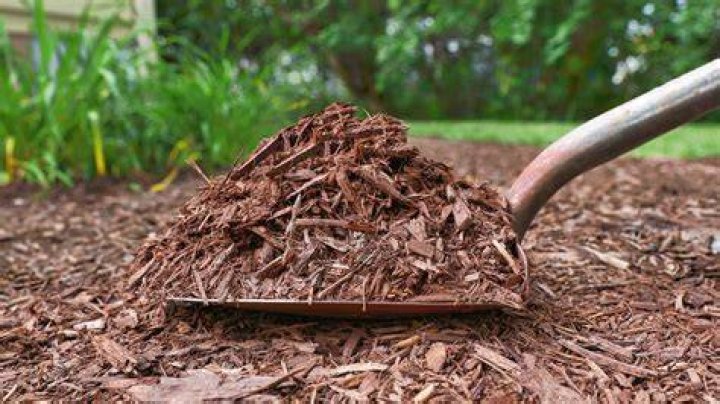 Can you recolor mulch