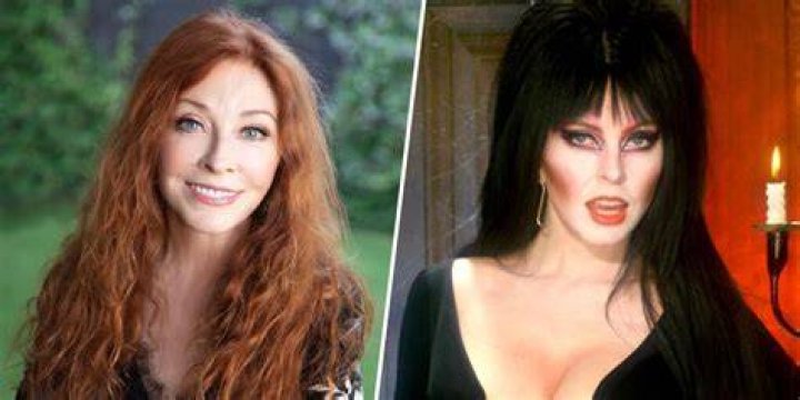 Did Elvira leave Tony