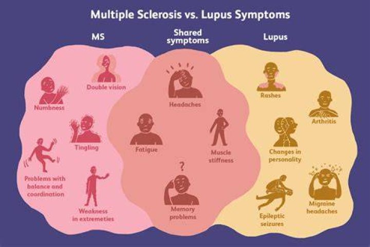 Do I have lupus or MS