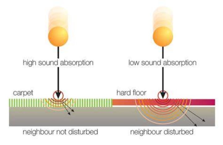 Do rugs reduce noise