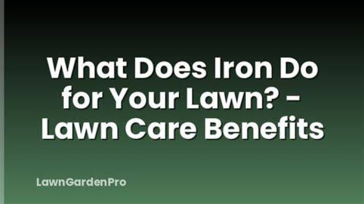 Does a lawn need iron