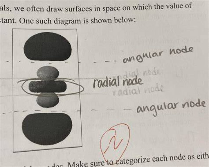 Does angular use node