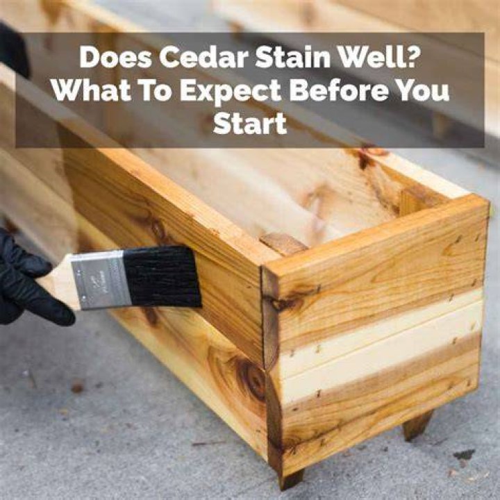 Does cedar stain well