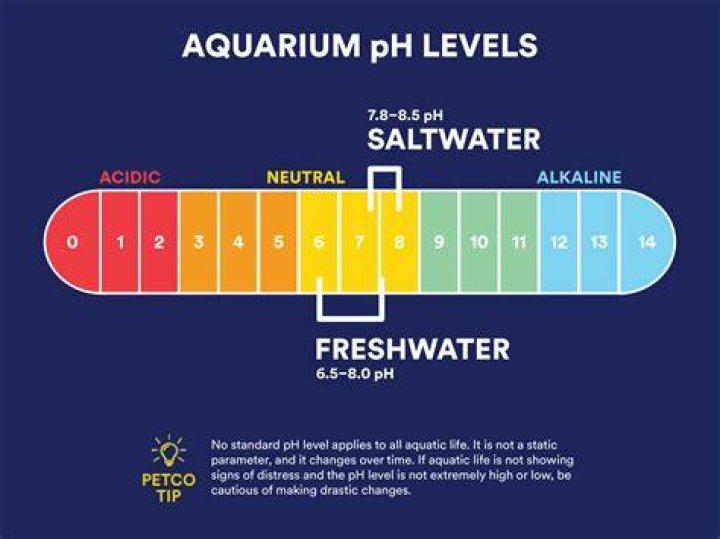 Does Petco test water