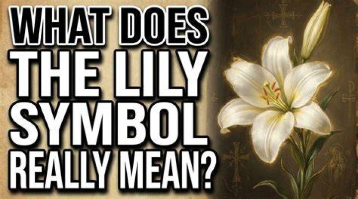 Does Swede kill Lily
