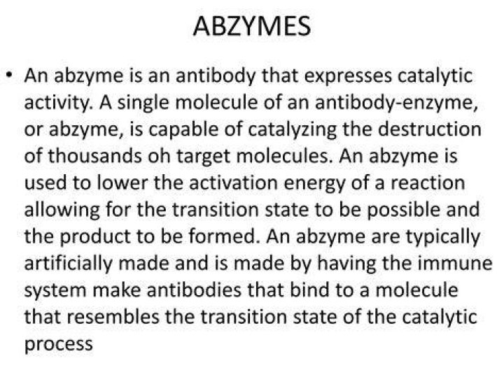 How are abzymes made