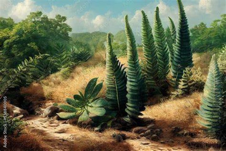 How did plants exist