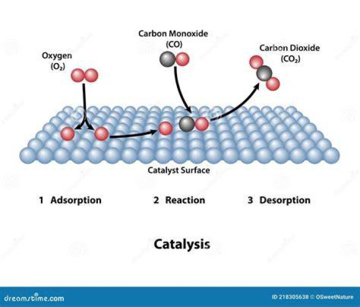 How do catalysts work