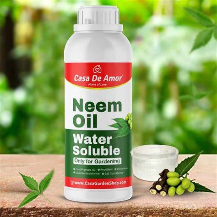 How do I mix neem oil