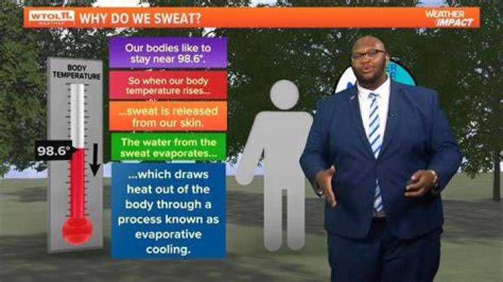 How do you cite sweat