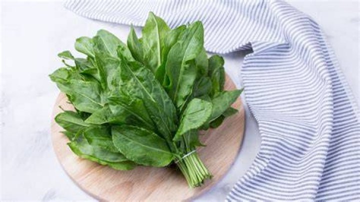 How do you eat sorrel