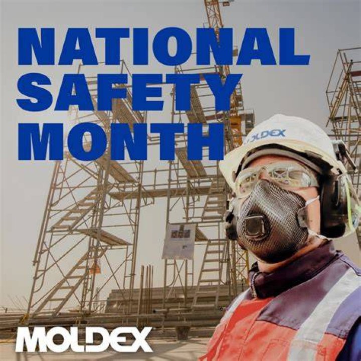 How do you use moldex