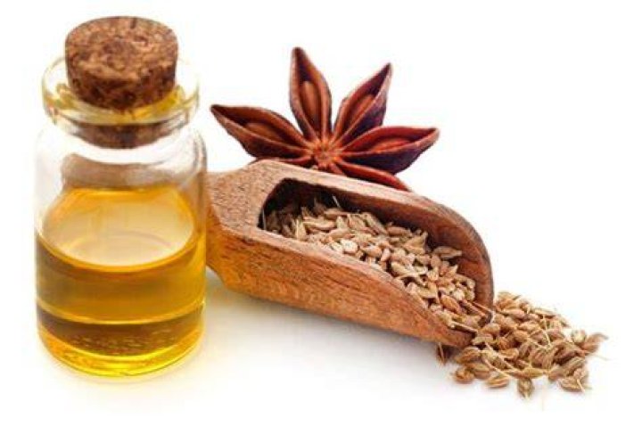 How is anise oil made