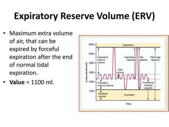 How is Erv calculated