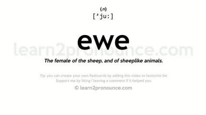 How is Ewe pronounced